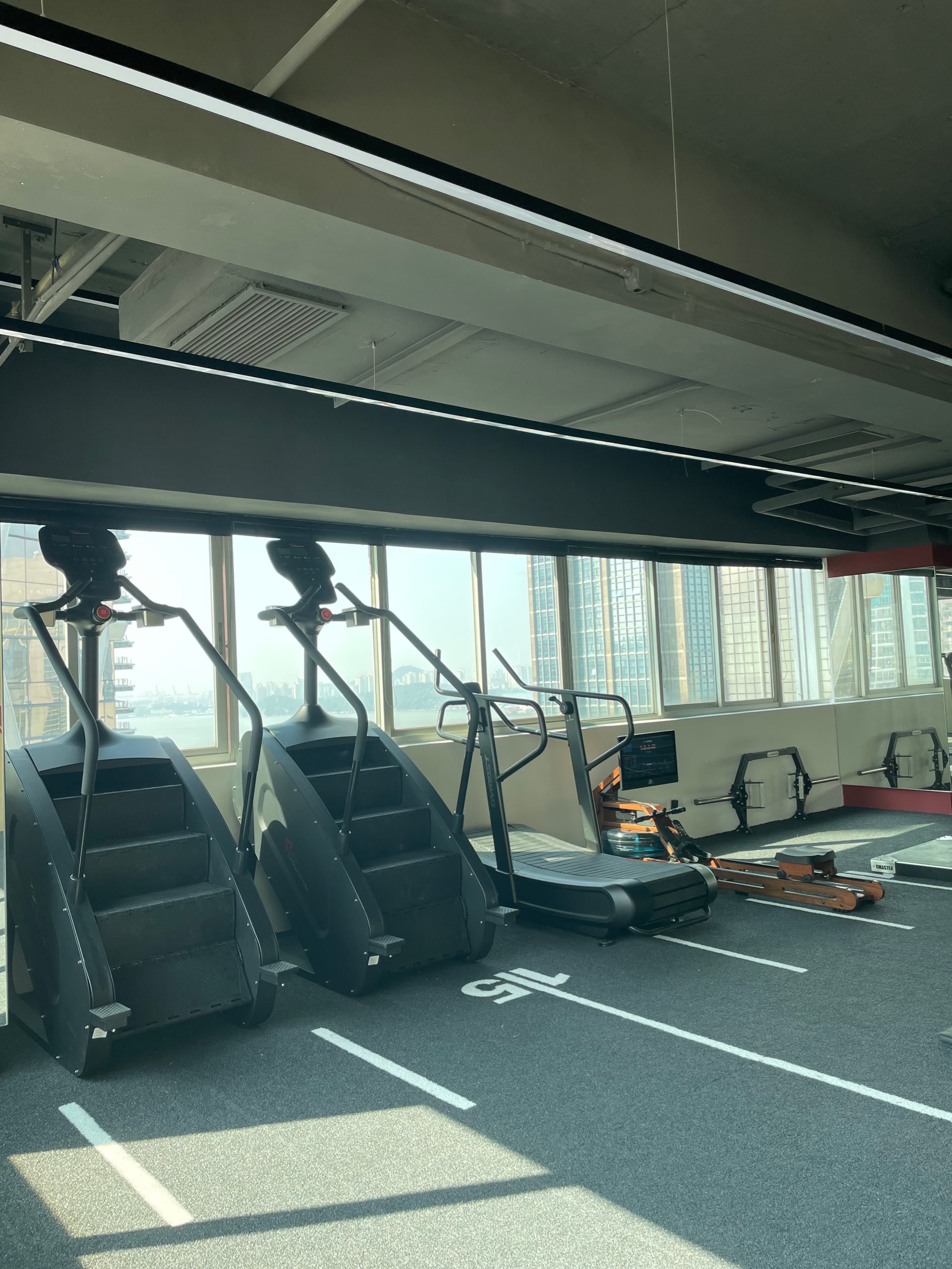 娇妻在健身房调教沦陷hTXT下载_娇妻的健身之旅，在健身房的调教与沦陷-第3张图片