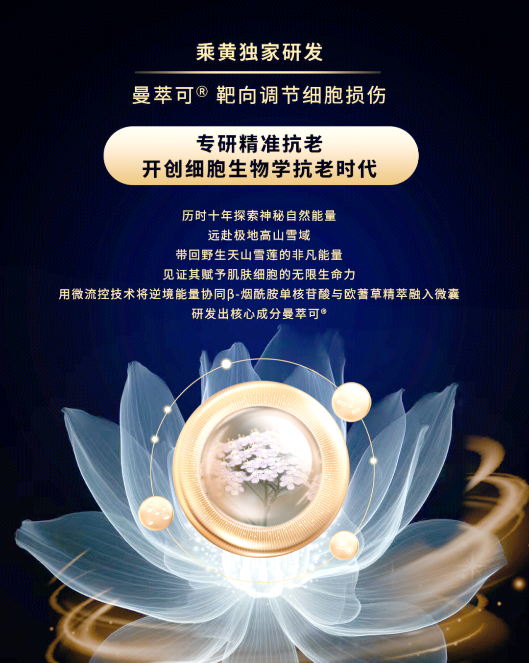 一面亲上边一面膜下边文字的探索一面亲上边一面膜下边的魅力与奥秘-第1张图片