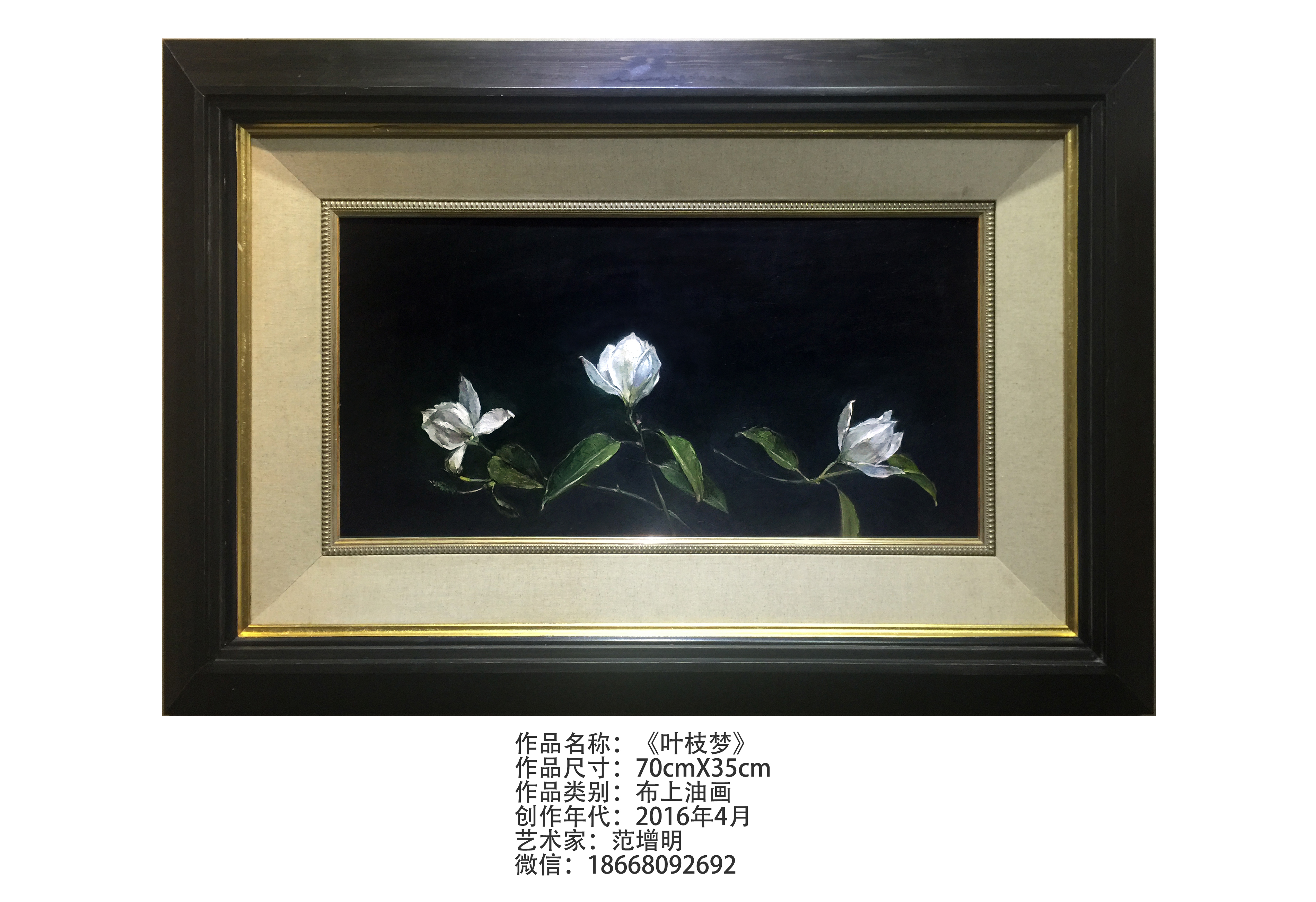 品色论谈品色论谈，探索色彩的魅力与深度
