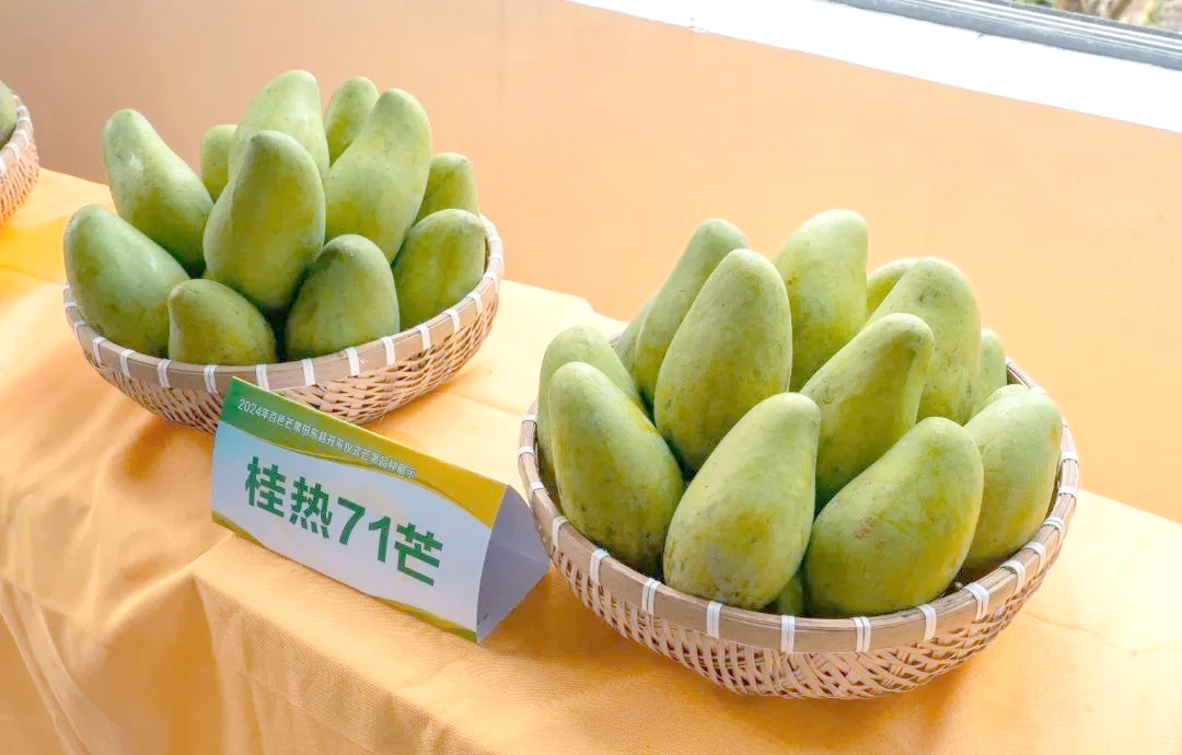 日产精品一线二线三线芒果的价格品味日产精品，一线、二线、三线芒果的独特魅力