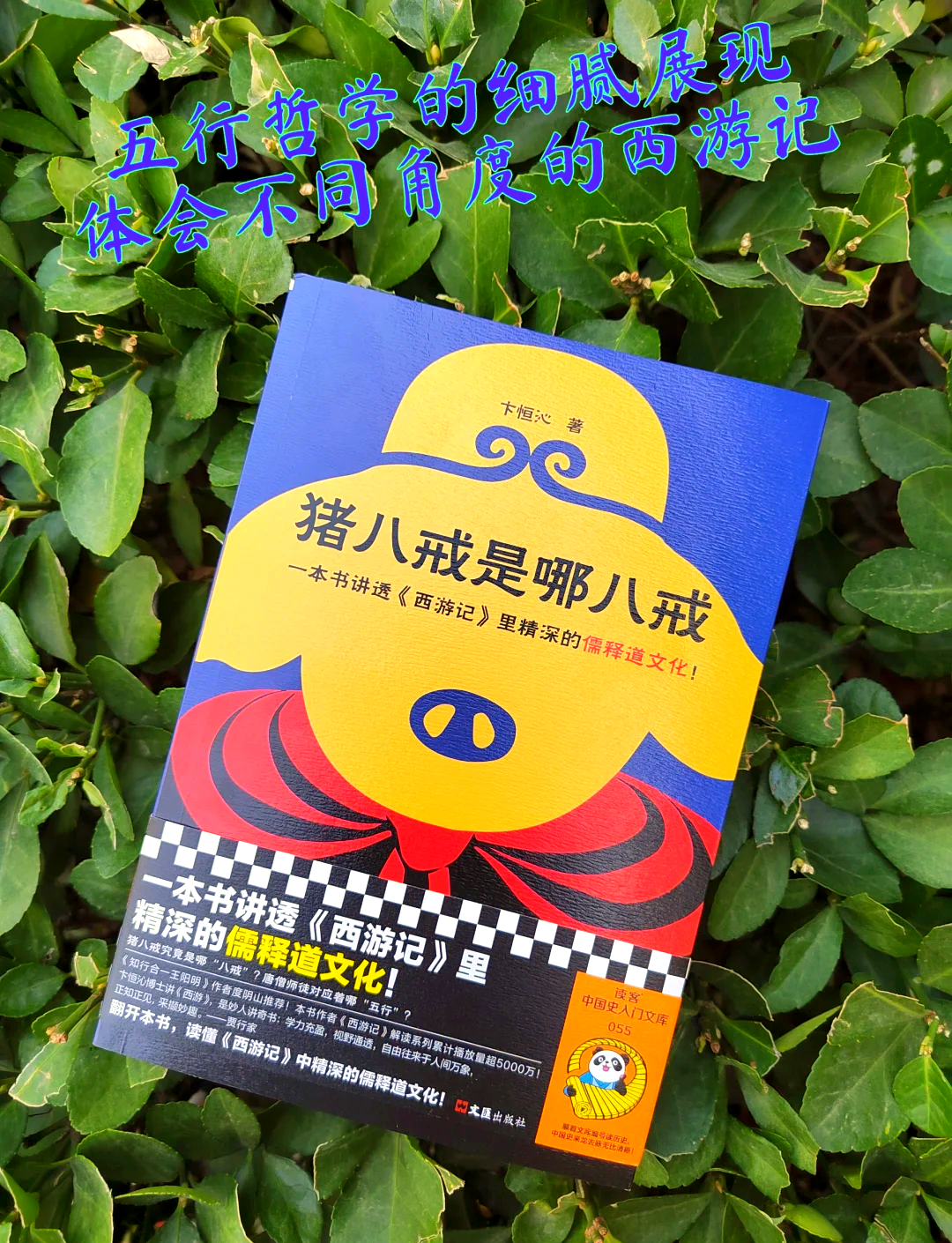 八戒电影官网无广告八戒八戒，免费下载的快乐之旅在神马影院-第1张图片