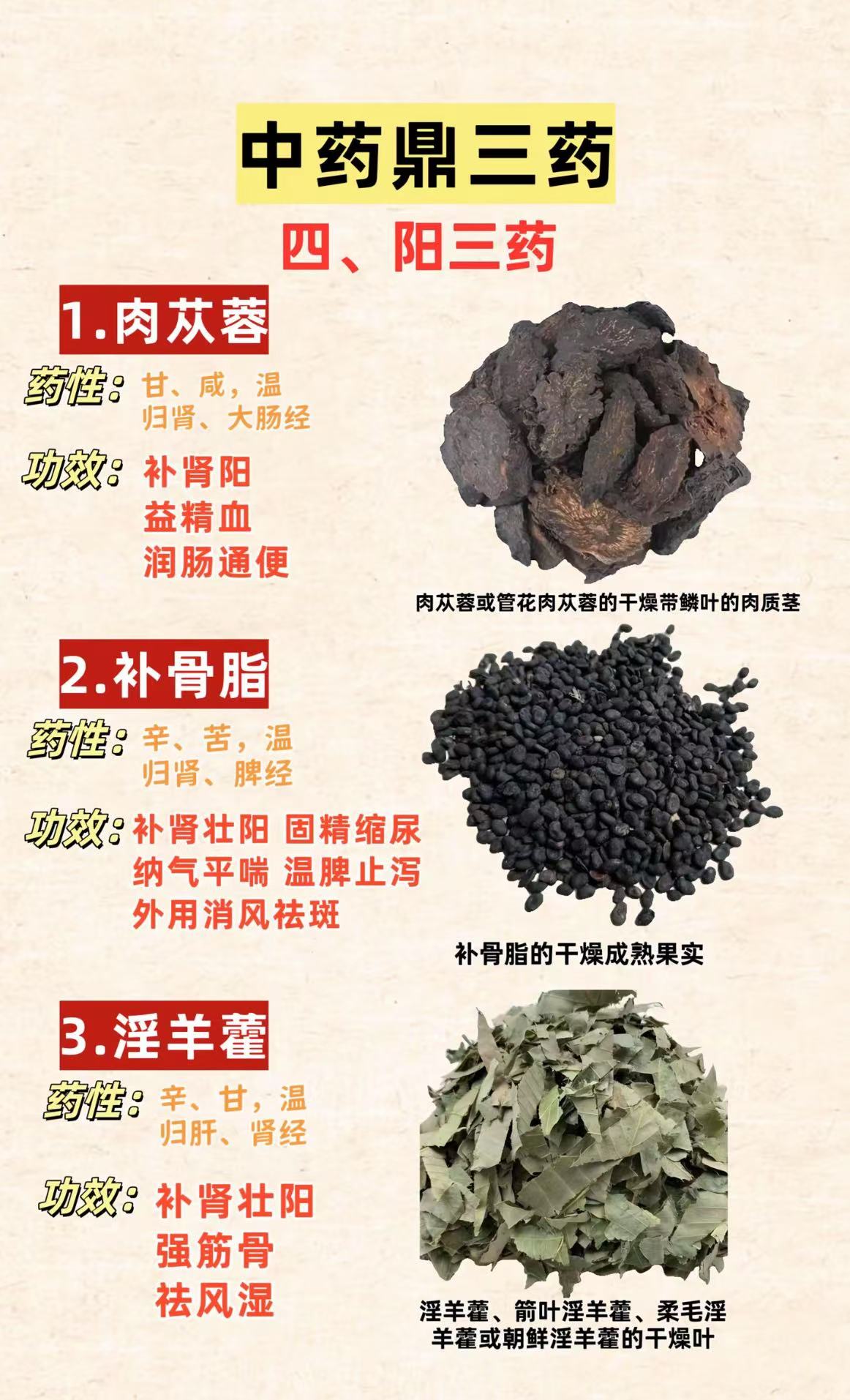 国精产品一二三区别在哪里国精产品一二三的详细区别解析-第1张图片