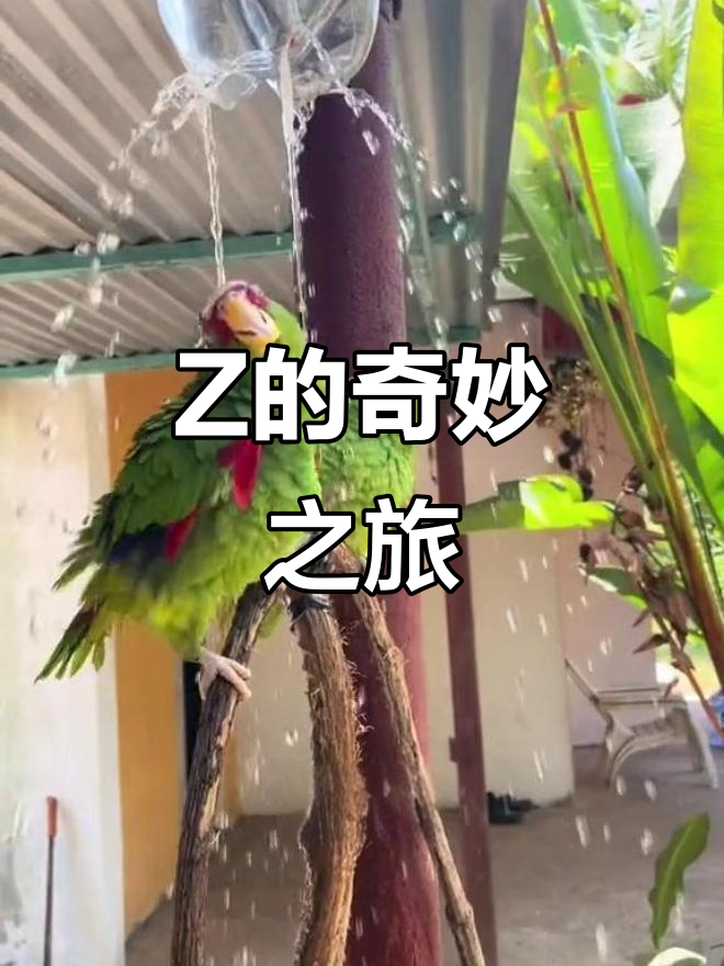 探索JAPONENSIS的魅力，JAVAHDTV365的科技之旅-第1张图片