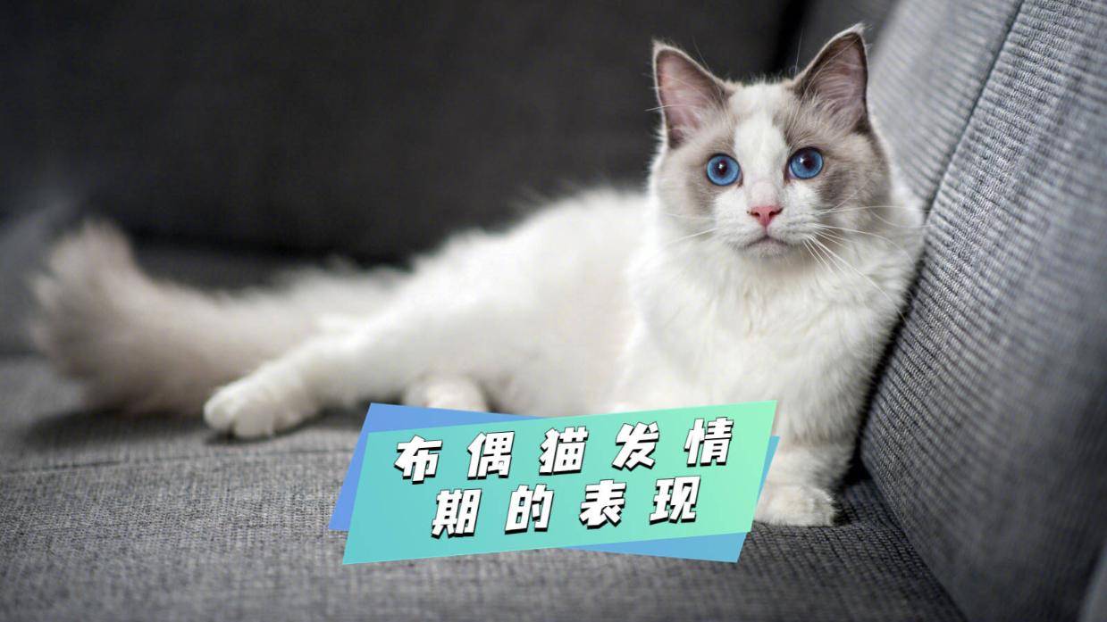 发情期女性的生理与心理变化-第2张图片