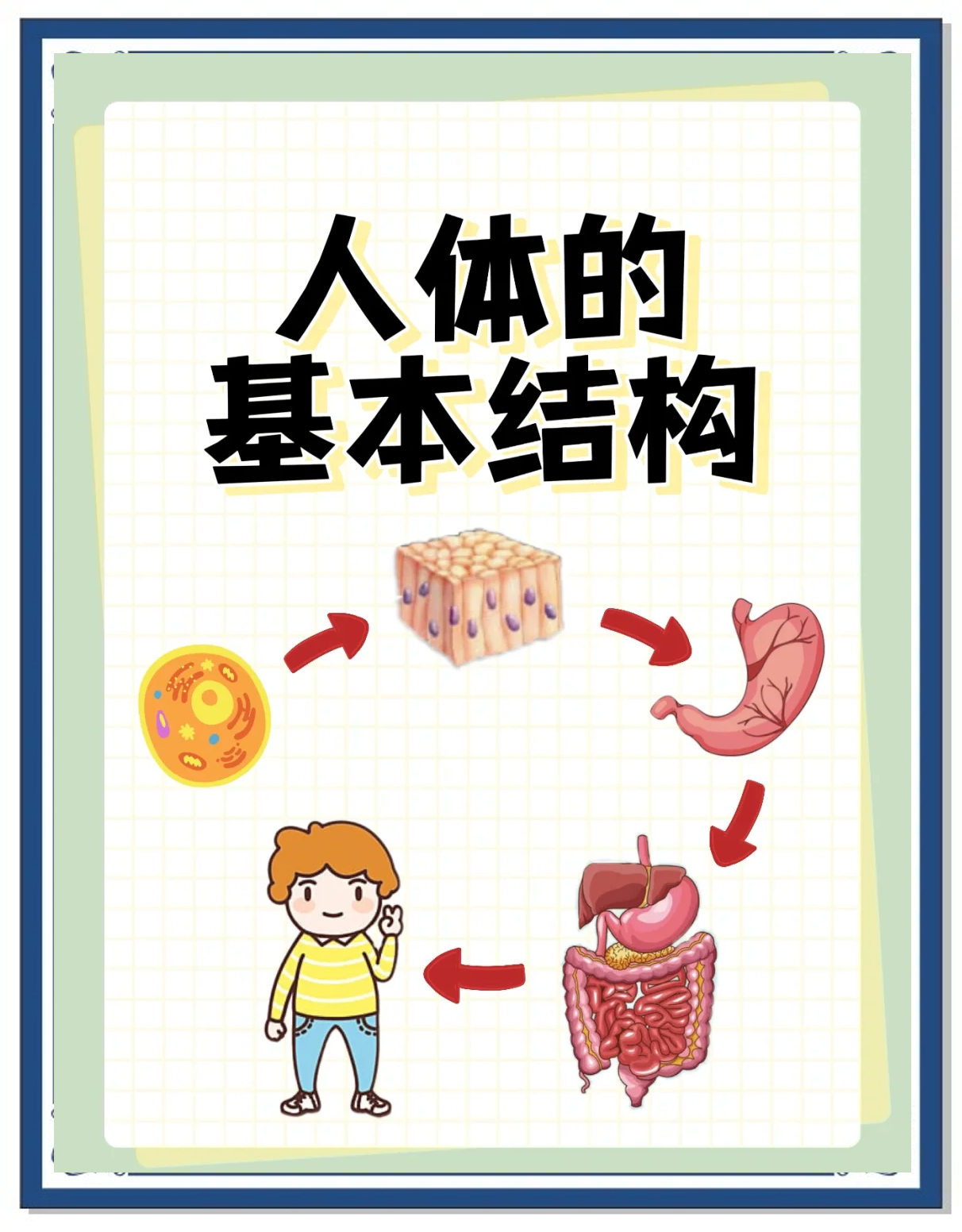 探索G0G0人体大胆拍拍之奥秘-第2张图片