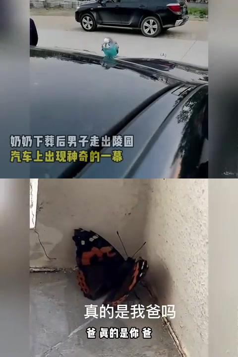 果冻传媒事件，儿子惹事，母亲上门