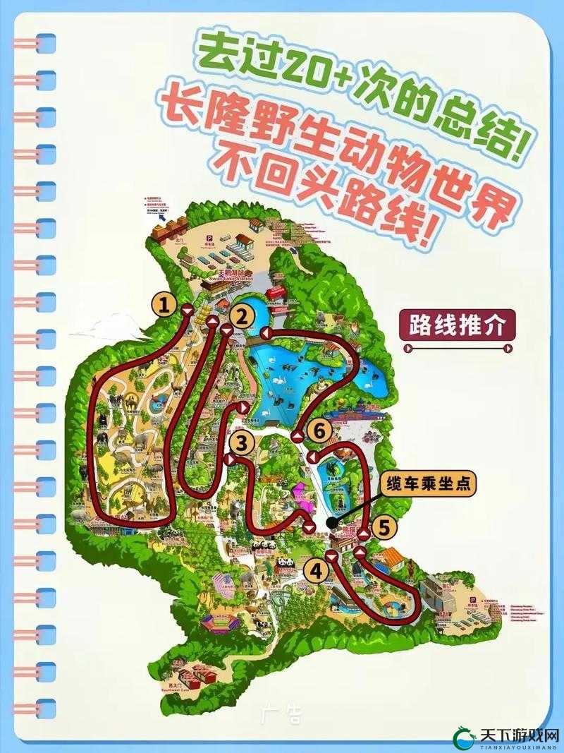美国ZOOM动物 - 欢迎您!美国ZOOM动物 - 欢迎您的到来！