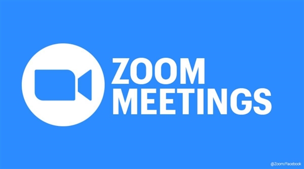 ZOOM人禽ZOOM技术下的人禽共舞——探索未来生物共存的可能性