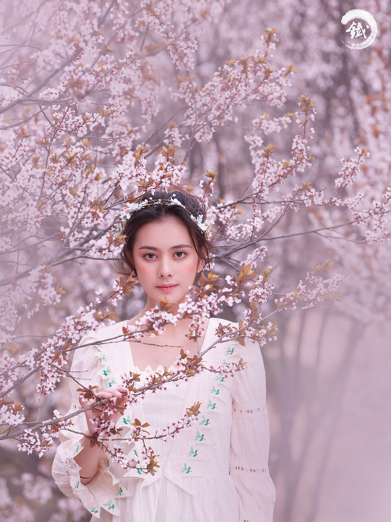 花季传谋花季传谋——青春的绽放与传承-第2张图片
